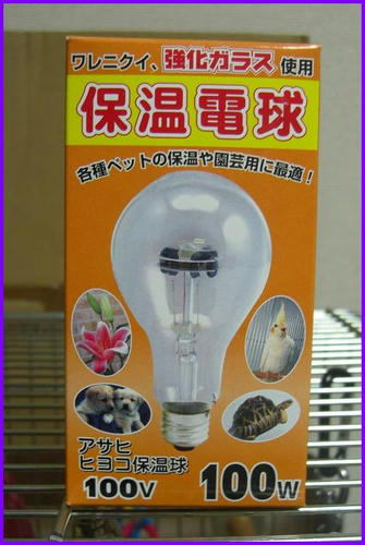Asahi_100w.JPG