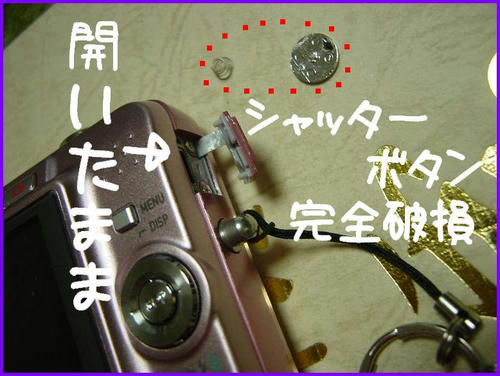 DSC00054.JPG