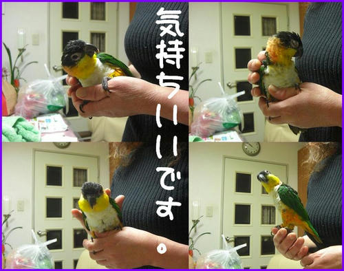 ZunkitiAndYokaiMofumofu.jpg