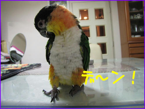 agrg34ijiv.jpg