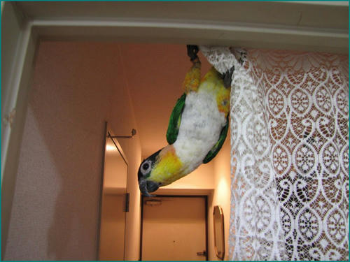 IMG_1443.JPG