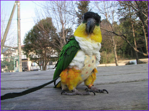 2010022302IMG.jpg