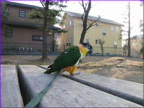 2010022303IMG.jpg