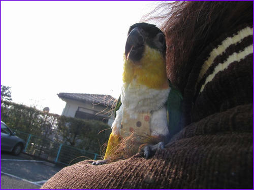 2010022304IMG.jpg