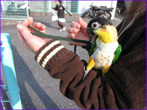 2010022305IMG.jpg