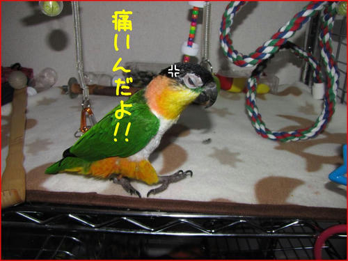 d73c0116.jpeg