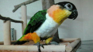 20101215170623.jpg