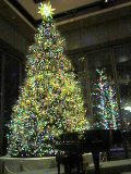 071216_1856~0001.jpg