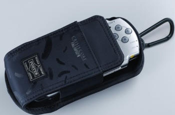 psp.jpg