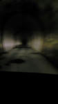 d057f505.jpg