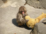 DSCN2256-e00ce.jpg