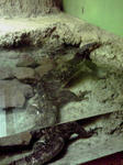 080405_1451~01.jpg