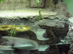 080405_1451~02.jpg