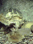 080405_1452~01.jpg
