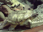 080405_1452~02.jpg