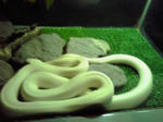 080405_1454~01.jpg