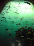 080405_1500~01.jpg