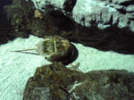 080405_1507~02.jpg
