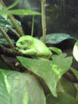 080405_1510~01.jpg