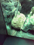 080405_1521~01.jpg