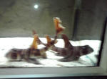 080405_1527~01.jpg