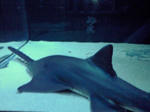 080405_1528~01.jpg