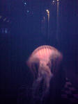 080405_1543~01.jpg