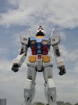resize0111.jpg