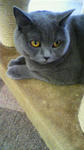 2010070414200000.jpg