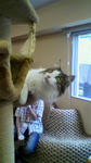 2010070414370000.jpg