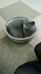 2010070415220001.jpg