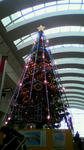 2010121312340000.jpg