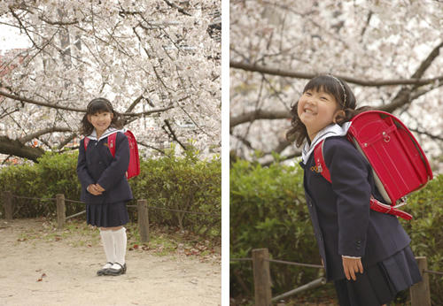 sakura3.jpg