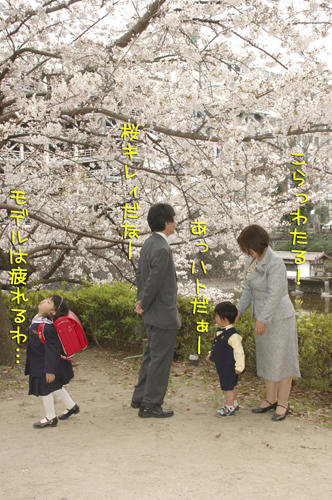 sakura2.jpg