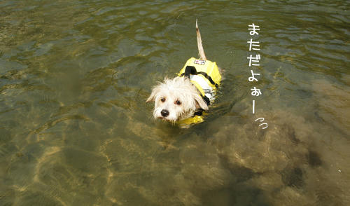 0905134.jpg