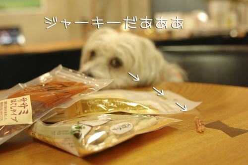 091016c.jpg