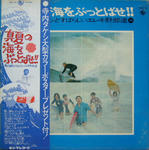 真夏の海を