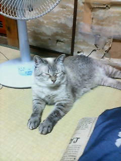 20090819165705.jpg