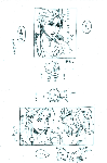 0013d.gif