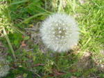 9watage_20080511SANY0027u1.jpg