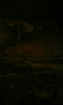 080506_105826.JPG