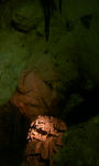 080506_111947.JPG