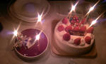 081225_205200.JPG