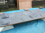 DSCF0099.JPG