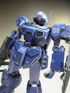 jesta16.jpg