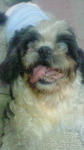 201108311811000.jpg