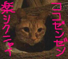 ちっくん