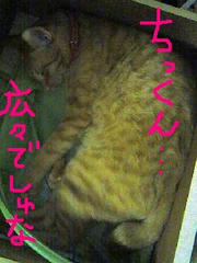 549dde04.JPG