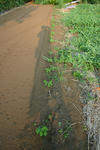 1f1f0462.jpg