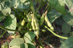 b6682e84.jpg